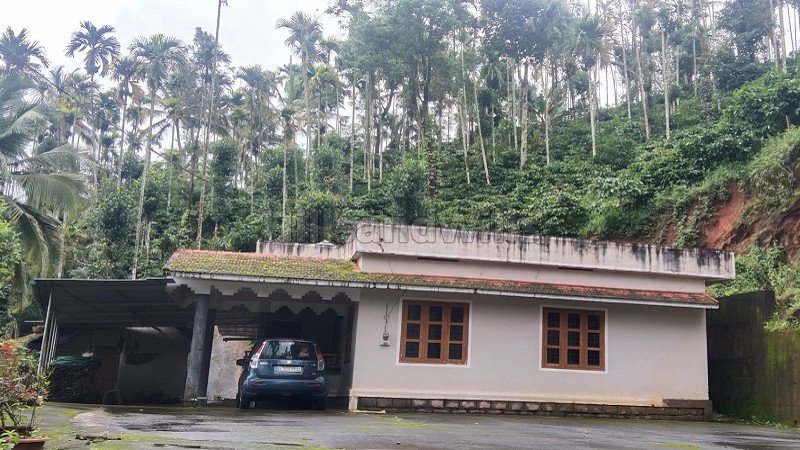 ₹2.50 Cr | 5 acres coffee estate with guest house for sale  in thomattuchal wayanad