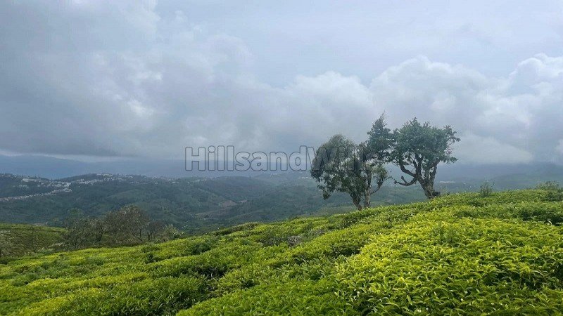 ₹10 Cr | 10 acres  estate land for sale  in yedakaddu ooty