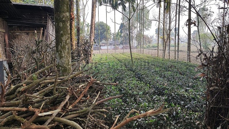 ₹9 Lac | 6 kattha residential plot for sale  in fatapukur siliguri