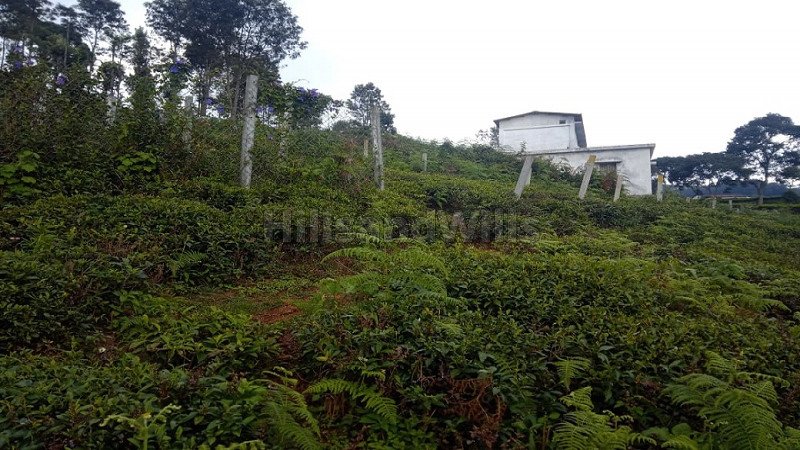 ₹66 Lac | 10000 sq.ft. residential plot for sale  in aravenu kotagiri