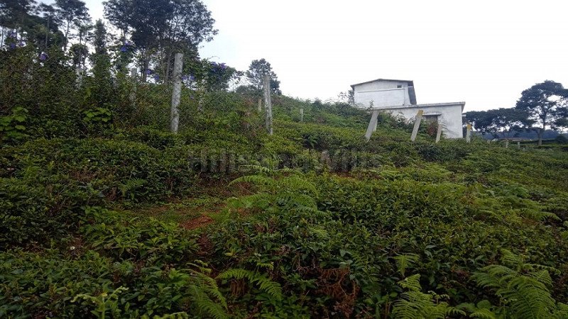 ₹66 Lac | 10000 sq.ft. residential plot for sale in aravenu kotagiri