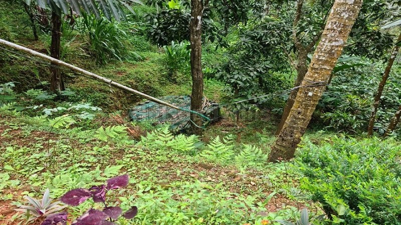 ₹90 Lac | 4 acres residential plot for sale  in valat wayanad