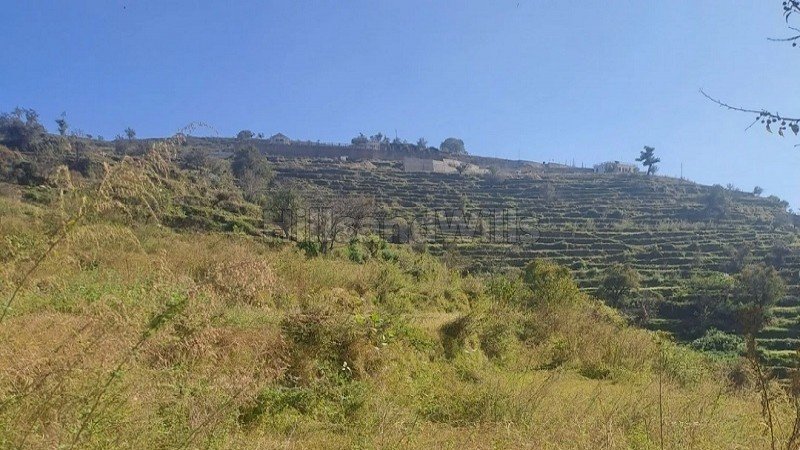 ₹8 Lac&nbsp;|&nbsp;240 gaj residential plot for sale  near kosi market, almora district uttarakhand