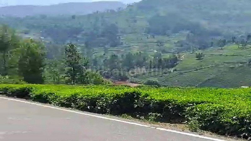 ₹57.50 Lac | 25 cents  land for sale  in kotagiri