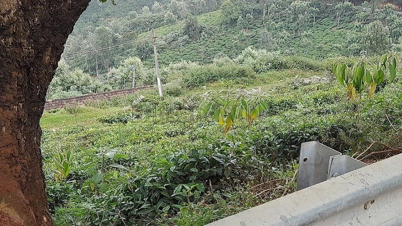 ₹80 Lac | 30 cents agriculture land for sale  in selas coonoor