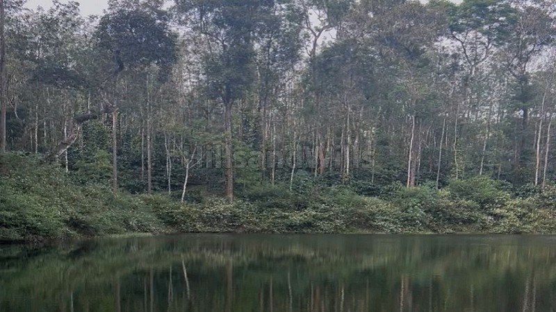 ₹20 Cr | 25 acres coffee estate for sale  in sakleshpur near chikmagalur