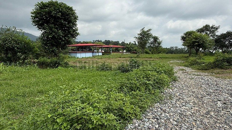 ₹41 Lac | 164 sq.yards residential plot for sale  in thano hills dehradun