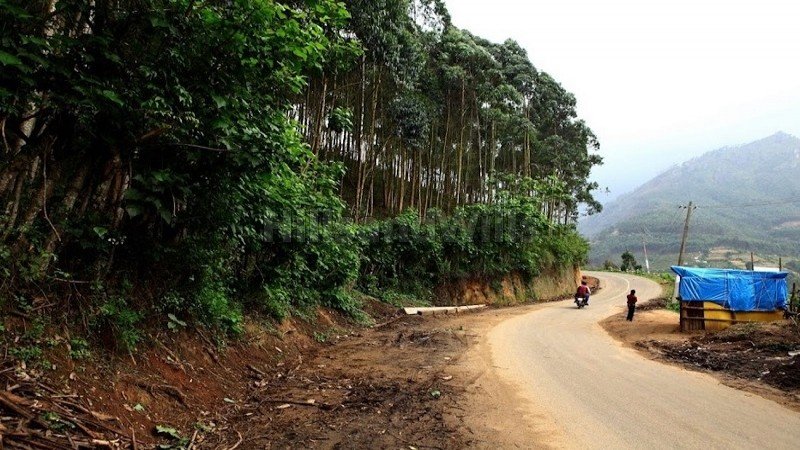 ₹2.30 Cr | 2.31 acres agriculture land for sale  in vattavada munnar