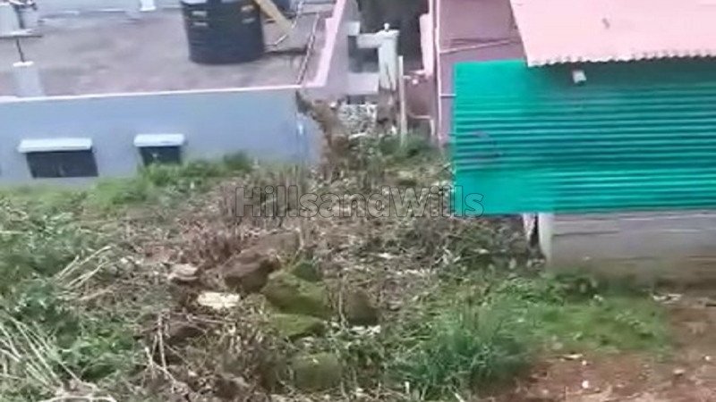 ₹25 Lac | 4 cents residential plot for sale  in riching road, lovedale ooty