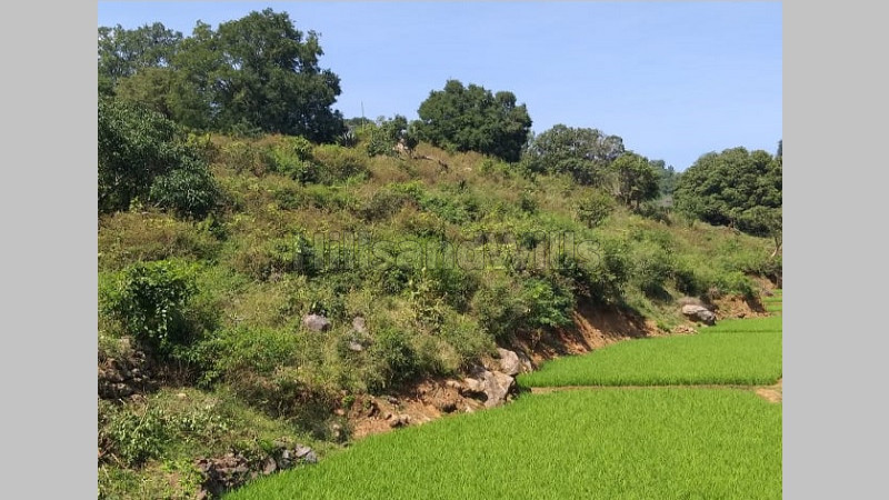 ₹98.50 Lac | 6.16 acres Agriculture Land For Sale in Alathur Nadu Kolli Hills
