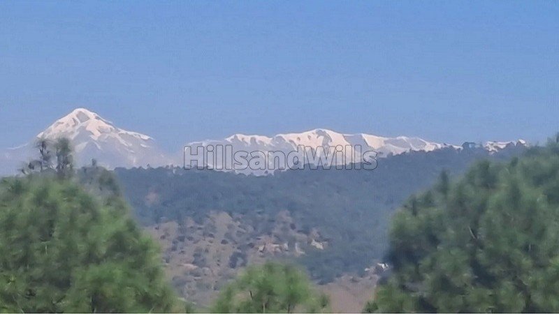 ₹8 Lac&nbsp;|&nbsp;240 gaj residential plot for sale  near kosi market, almora district uttarakhand