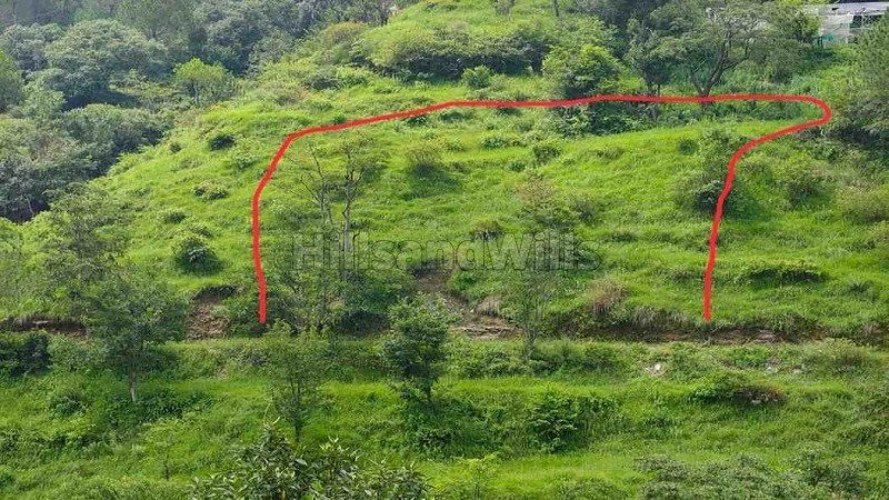 ₹1.50 Cr | 30 biswa agriculture land for sale  in panthaghati shimla
