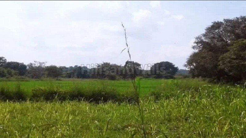 ₹87 Lac | 2 acres agriculture land for sale  in hebbale coorg