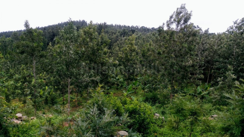 ₹1 Cr | 2.2 acres Agriculture Land For Sale in Kolli Hills