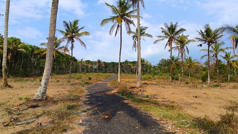 ₹10 Lac | 25 cents residential plot for sale in poothadi wayanad