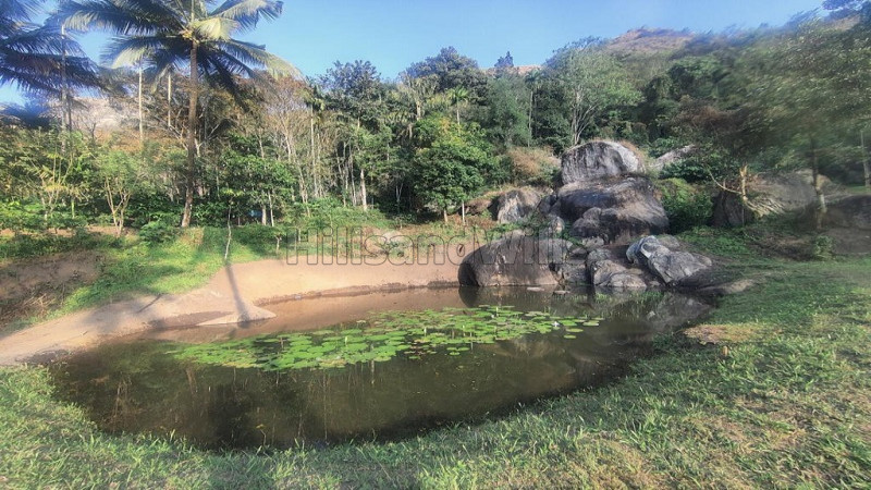 ₹24 Lac | 20 cents residential plot for sale in meenangady, sultanbattery, wayanad