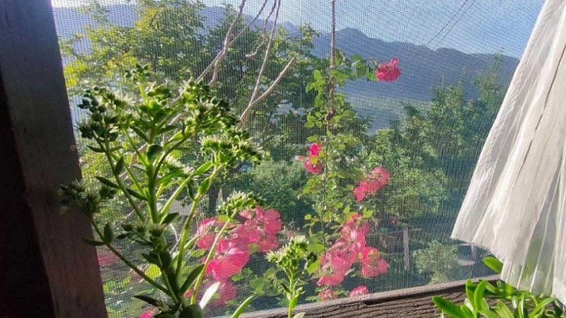 ₹20 K&nbsp;|&nbsp;1bhk independent house for rent  in manali kullu-manali