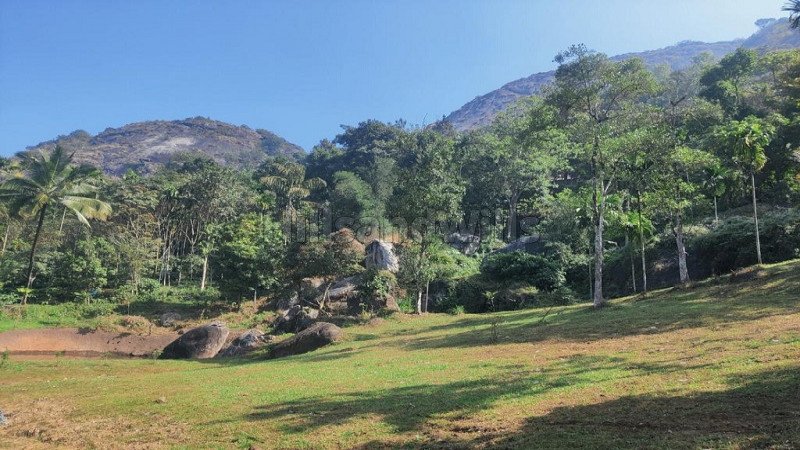 ₹24 Lac | 20 cents residential plot for sale in meenangady, sultanbattery, wayanad