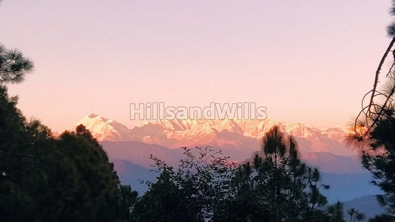 ₹1.30 Cr | 10 nali commercial land  for sale in kausani uttarakhand