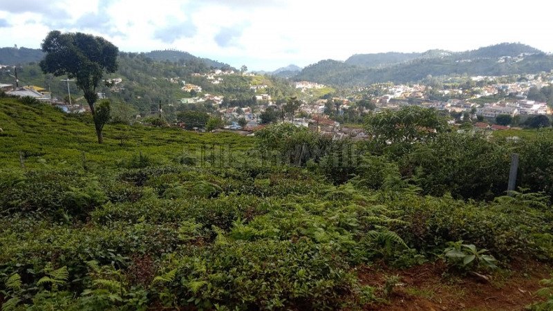 ₹66 Lac | 10000 sq.ft. residential plot for sale  in aravenu kotagiri