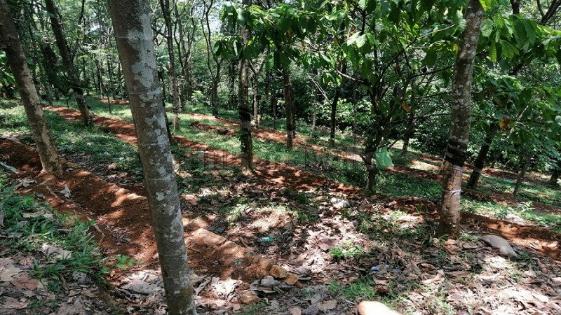 ₹70 Lac | 4bhk farm house for sale  in mundakayam idukki