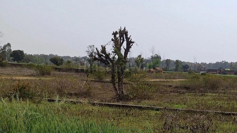 ₹45 Lac | 300 sq.yards residential plot for sale  in sabhawala dehradun
