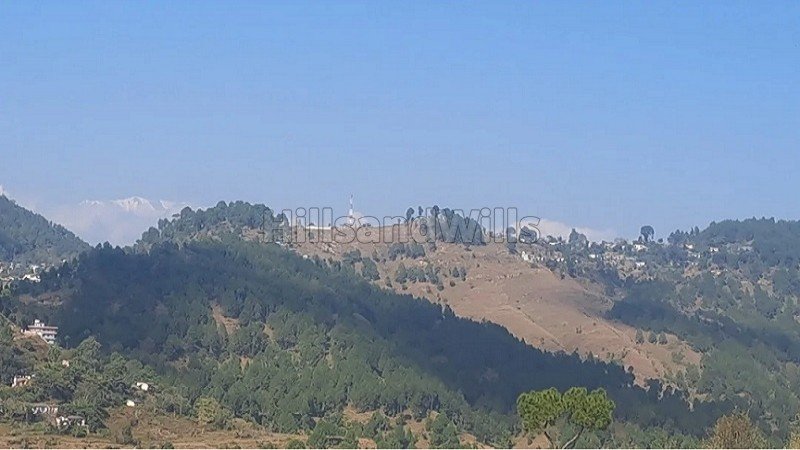 ₹8 Lac&nbsp;|&nbsp;240 gaj residential plot for sale  near kosi market, almora district uttarakhand