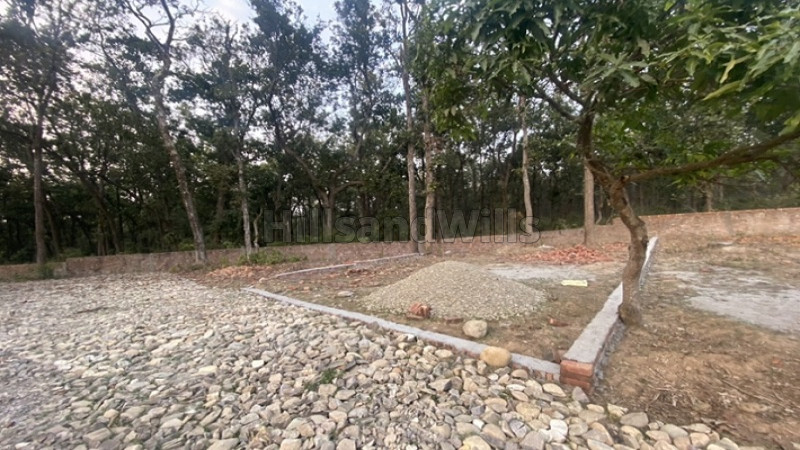 ₹36 Lac | 250 sq.yards residential plot for sale in dhakonwala dehradun