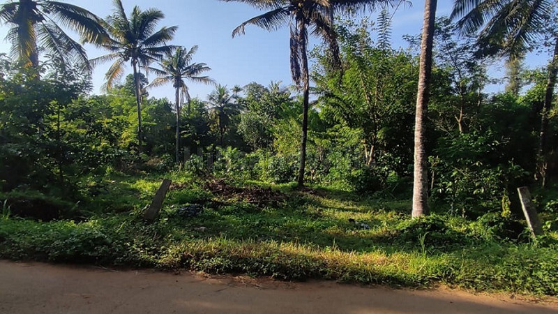 ₹10 Lac | 20 cents residential plot for sale in pulpally wayanad