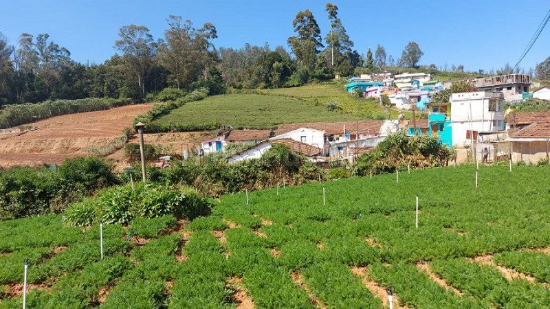 ₹3 Cr | 33 cents agriculture land for sale  in muthorai palada ooty