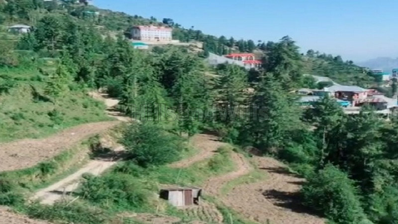 ₹1 Cr | 10 biswa commercial land  for sale in near kufri shimla