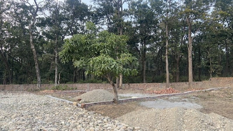 ₹36 Lac | 250 sq.yards residential plot for sale  in dhakonwala dehradun