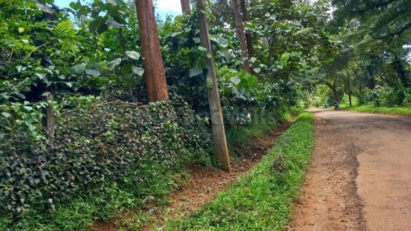 ₹32.30 Cr | 85 acres coffee estate for sale  in wayanad