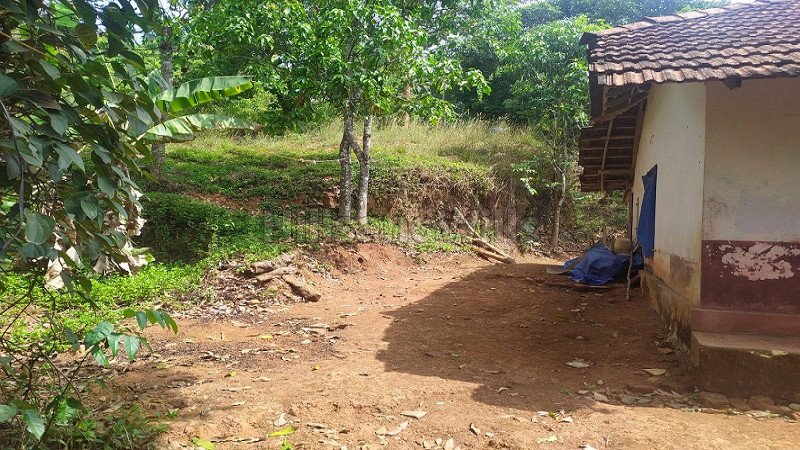 ₹20 Lac | 3bhk farm house for sale  in mananthavady wayanad
