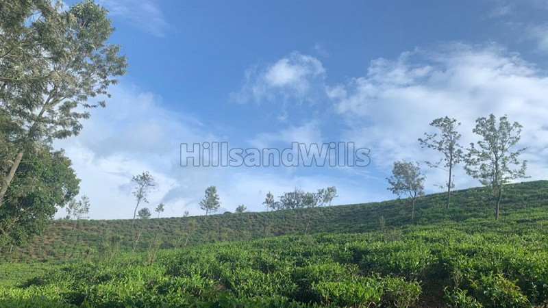 ₹150 Cr | 9.6 acres Agriculture Land For Sale in Karadipallam Coonoor