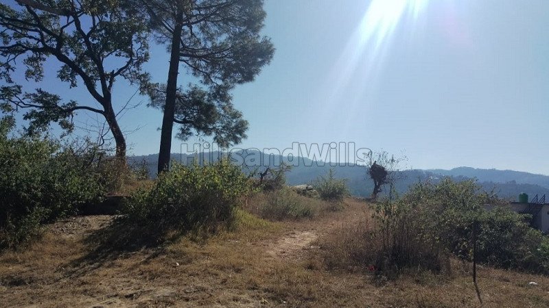 ₹96 Lac | 8500 sq.ft. residential plot for sale  in almora near nainital