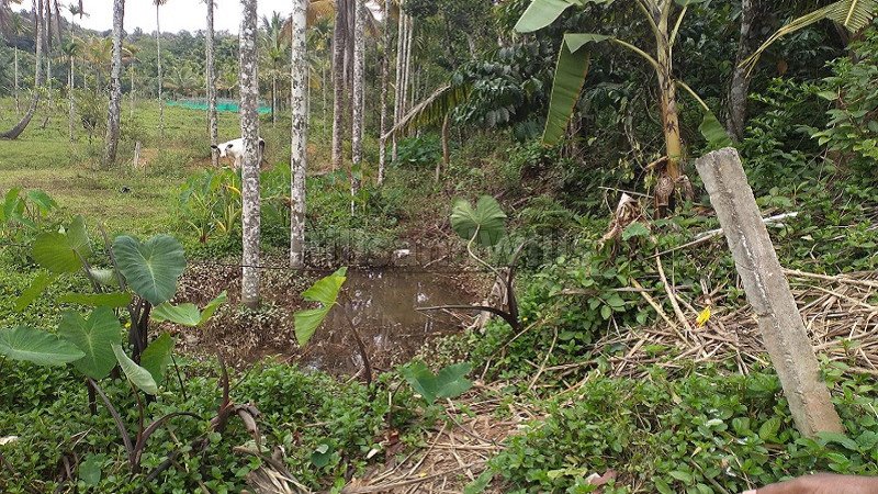 ₹15 Lac | 5.75 cents residential plot for sale  in mysore main road gudalur