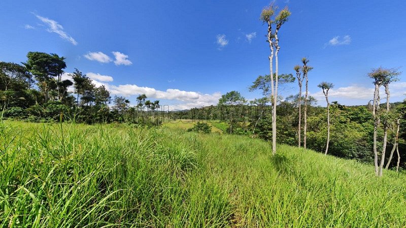 ₹2 Cr | 4 acres agriculture land for sale  in sulthan bathery wayanad