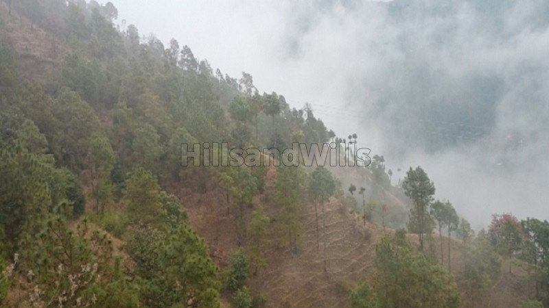 ₹8 Cr | 92 bigha commercial land  for sale in chail shimla