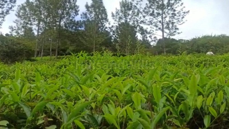 ₹45 Lac | 25 cents residential plot for sale  in kotagiri ooty