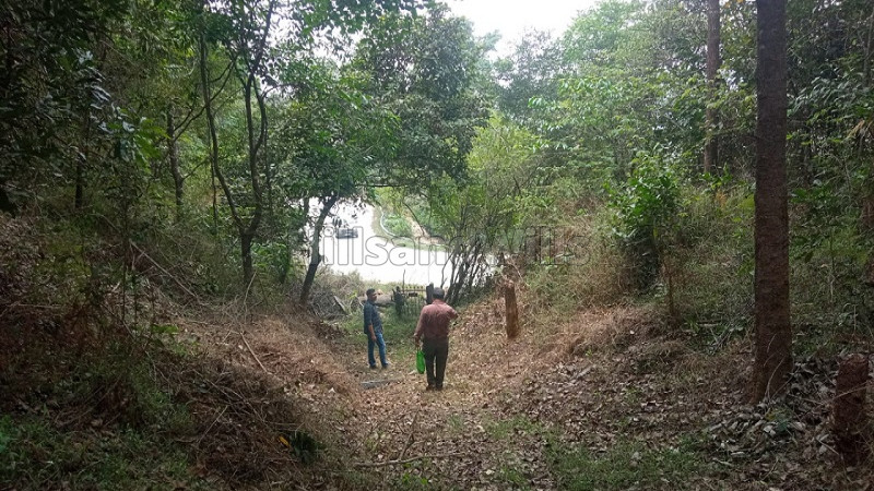 ₹35 Cr | 12 acres residential plot for sale in madikeri coorg