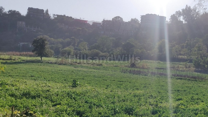 ₹3.15 Cr | 4.5 bigha agriculture land for sale in sainj, theog shimla
