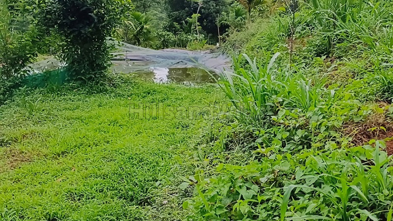 ₹2.98 Cr | 496 cents residential plot for sale in kalpetta wayanad