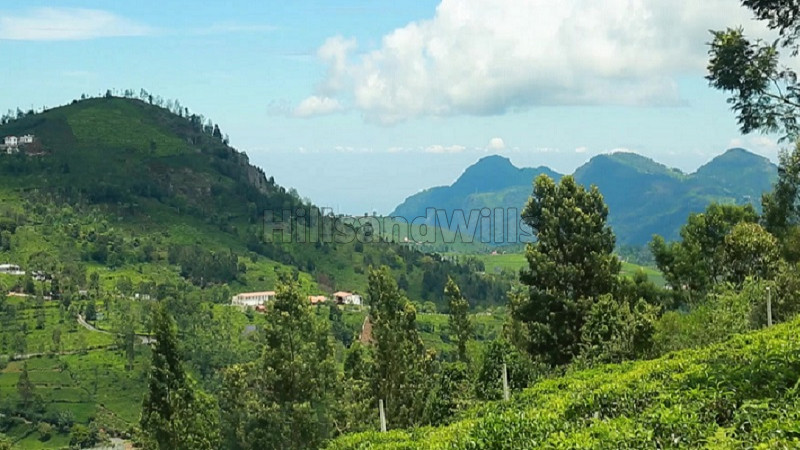 ₹4 Cr | 2.8 acres Agriculture Land For Sale in Dhenallai Ooty