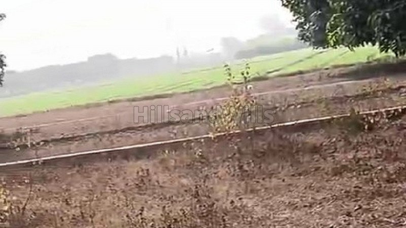 ₹32 Lac | 320 gaj residential plot for sale  in selaqui dehradun