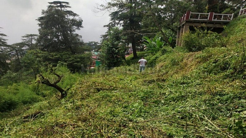 ₹30 Cr | 9 bigha  plot with old house for sale  in shimla