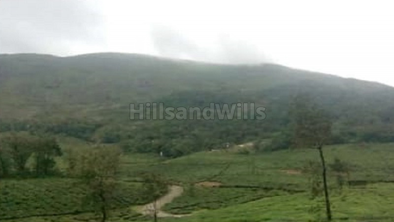 ₹55 Lac | 2 acres agriculture land for sale in elapara idukki
