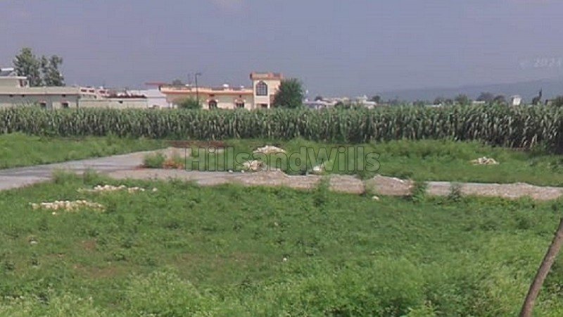 ₹16.75 Lac | 88 gaj residential plot for sale  in doodhli dehradun