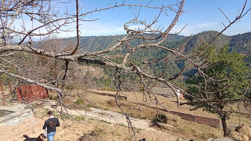 ₹24 Lac | 300 sq.yards residential plot for sale  in sunderkhal nainital