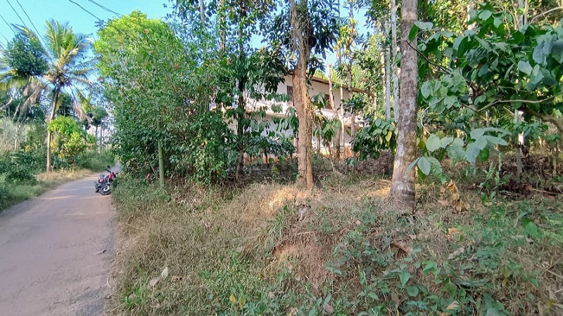 ₹70 Lac | 25 cents commercial land  for sale in pulpally wayanad